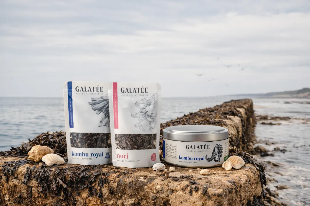 ChatGPT Image 5 févr. 2026 à 13_26_32.webp