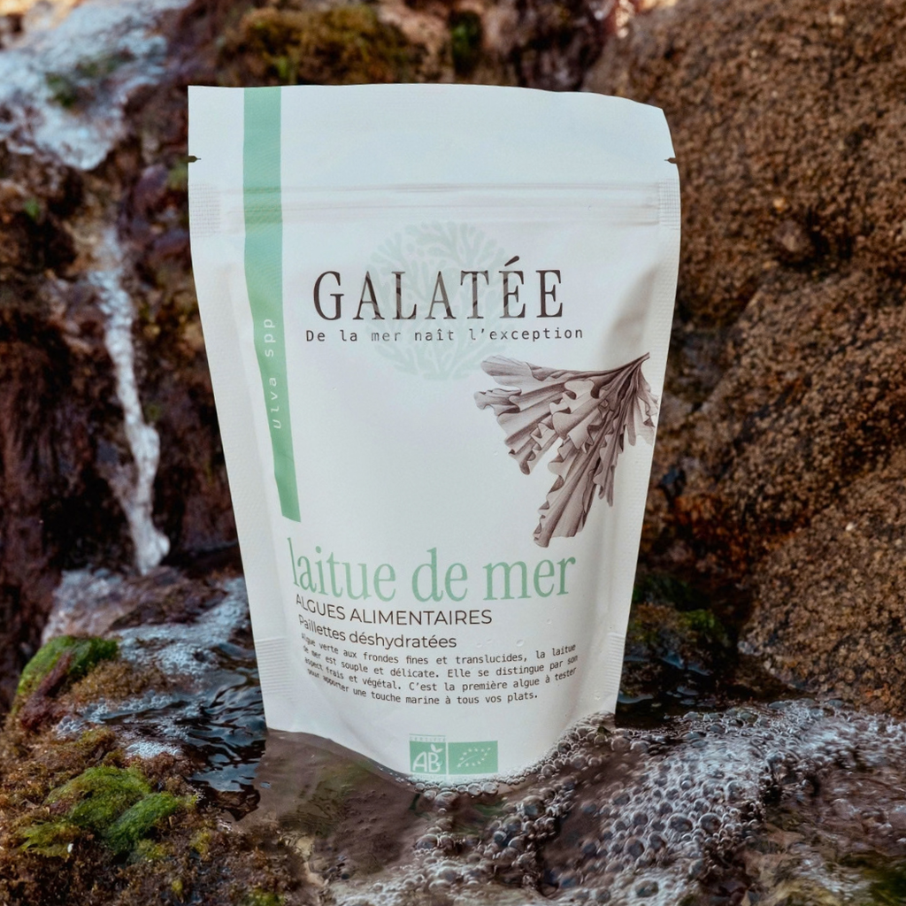 Laitue de mer paillettes doypack 30 g