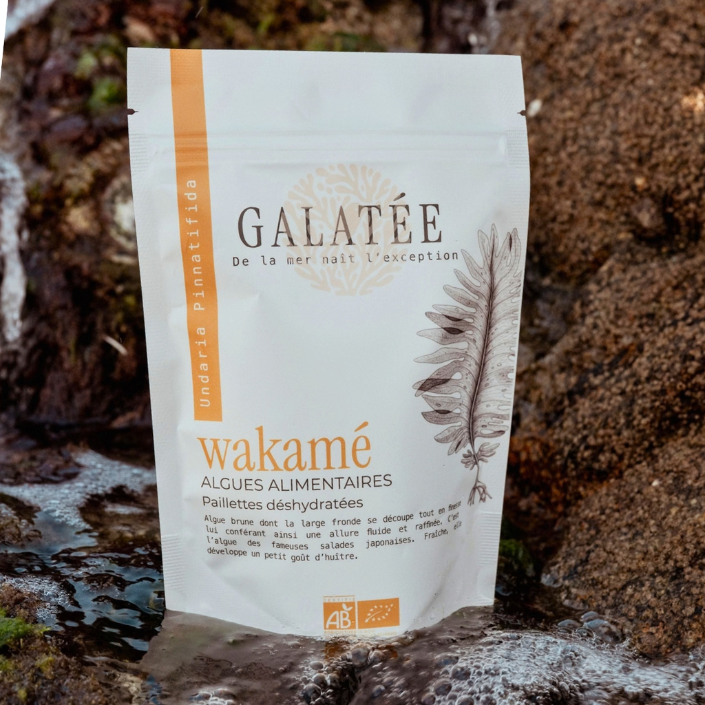Wakamé paillettes doypack 30 g