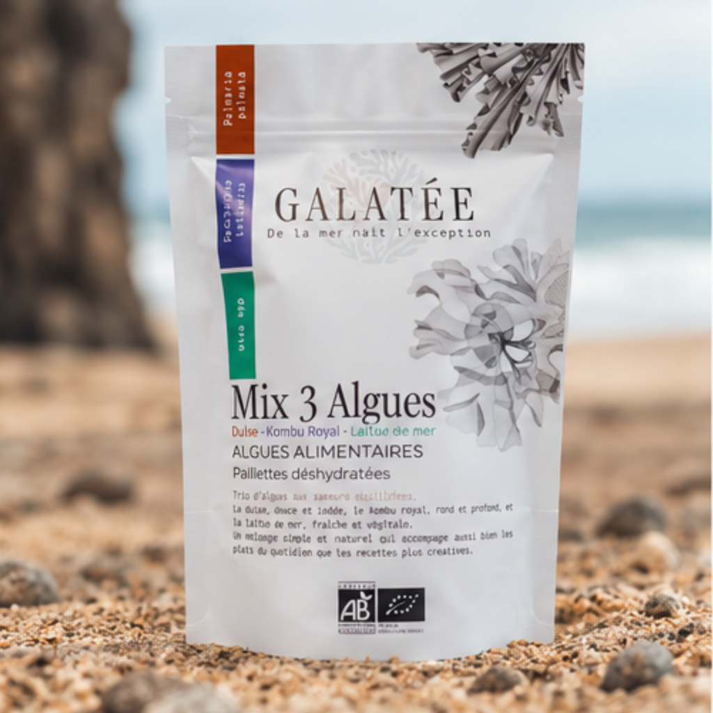 Mix 3 algues paillettes doypack 30 g
